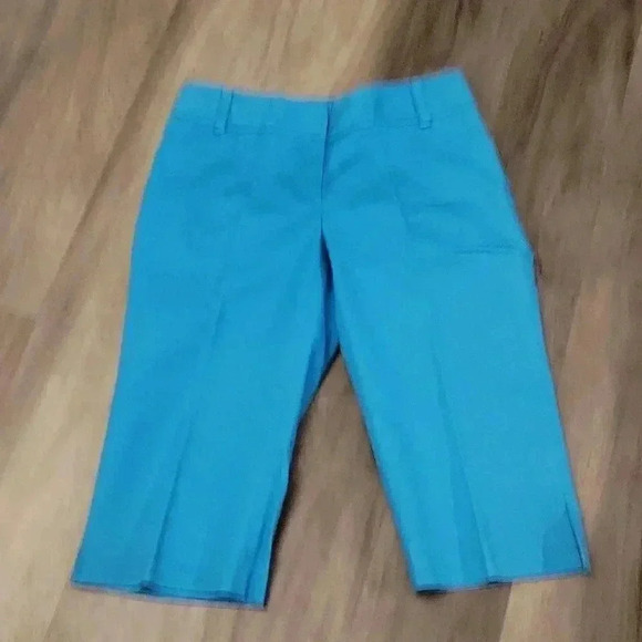 Ann Taylor Capris  - Picture 1 of 5